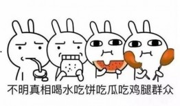 吃瓜群众是什么意义,网络时代的旁观者与评论者