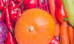 夏吃瓜秋天吃果子