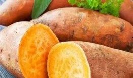 吃土瓜治痔疮,痔疮患者的天然良药