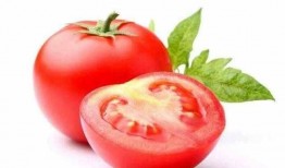 带你吃瓜之精品番茄