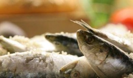 老咸鱼吃瓜专用,揭秘娱乐圈那些不为人知的幕后故事