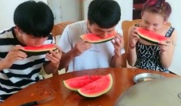 吃瓜小伙伴视频