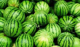 廊职吃瓜,揭秘校园热点事件背后的真相