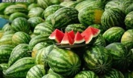 吃瓜捉虫,揭秘网络谣言背后的真相