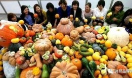 缴瓜怎么吃,解锁瓜果新吃法