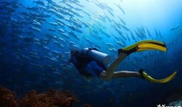 资深潜水吃瓜王者,揭秘水下世界的神秘与趣味