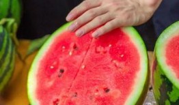 最近学校吃瓜,揭秘最近学校吃瓜大事件！”