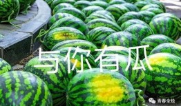 汕头新吃瓜事件,揭秘网络热议背后的真相与争议