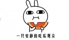 今年吃瓜什么意思,2023年度热门“吃瓜”事件大盘点