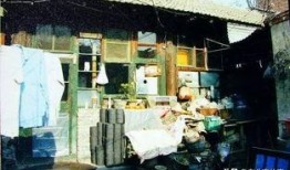 大杂院快乐吃瓜日常,大杂院里的欢乐瓜果时光