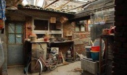 大杂院快乐吃瓜日常,大杂院里的欢乐瓜果时光