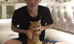 王源吃瓜姑,揭秘娱乐圈背后的真相